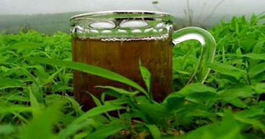 دراسة بـ "الديلى ميل": استخلاص علاج جديد للسرطان من الشاى الأخضر