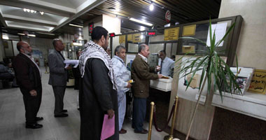الحولات الصفراء