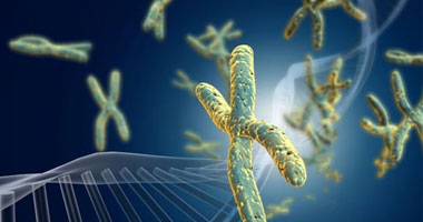 صورة مجهرية للحمض النووى ـ أرشيفية