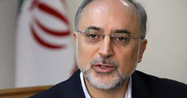 وزير الخارجية الإيرانى على أكبر صالحى