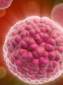 طبيب إسبانى: 7 خطوات للوقاية من مرض السرطان