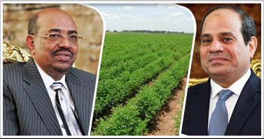 السيسى والبشير يوقعان وثيقة شراكة استراتيجية شاملة بين البلدين