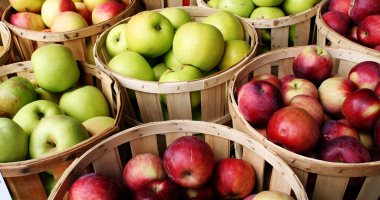 فوائد مذهلة للتفاح.. يعزز الكفاءة الدماغية ويقلل من مخاطر بالسرطان