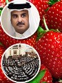 البرلمان يثور دفاعا عن سمعة الفراولة المصرية البرلمان يثور دفاعا عن سمعة الفراولة المصرية