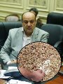 مهمة للجنة الزراعة فى الإسكندرية والبحيرة مهمة للجنة الزراعة فى الإسكندرية والبحيرة