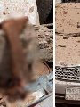 اثار الانفجار الارهابى بالسعوديه اثار الانفجار الارهابى بالسعوديه