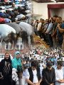 المصريين بالخارج يؤدون صلاة العيد المصريين بالخارج يؤدون صلاة العيد