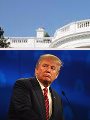 الرئيس الأمريكى دونالد ترامب ووزير الخارجية ريكس تيلرسون الرئيس الأمريكى دونالد ترامب ووزير الخارجية ريكس تيلرسون