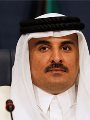 معارضين لتميم معارضين لتميم