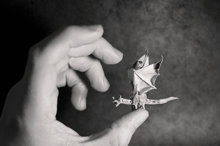 فنان أسبانى يبدع فى تصميم حيوانات باستخدم الورق 50584-origami-gonzalo-garcia-calvo-53-57fb5604cc6af__880
