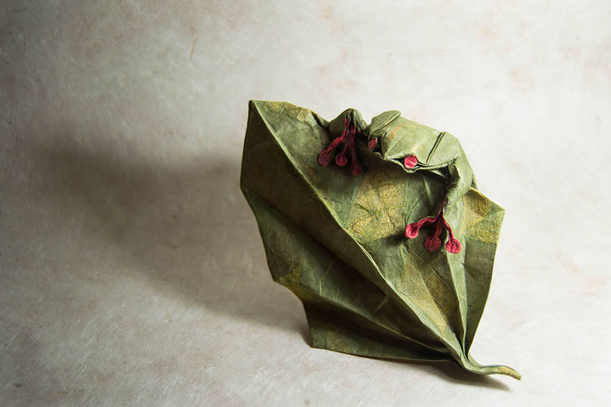 فنان أسبانى يبدع فى تصميم حيوانات باستخدم الورق 73915-origami-gonzalo-garcia-calvo-55-57fb560a390eb__880