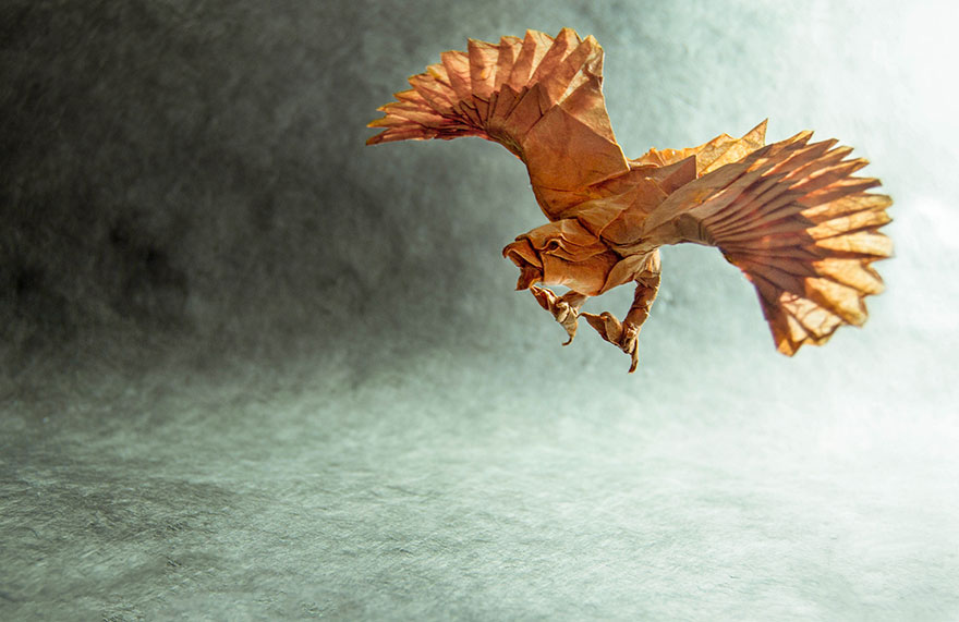 فنان أسبانى يبدع فى تصميم حيوانات باستخدم الورق 84051-origami-gonzalo-garcia-calvo-61-57fb56156ab7a__880