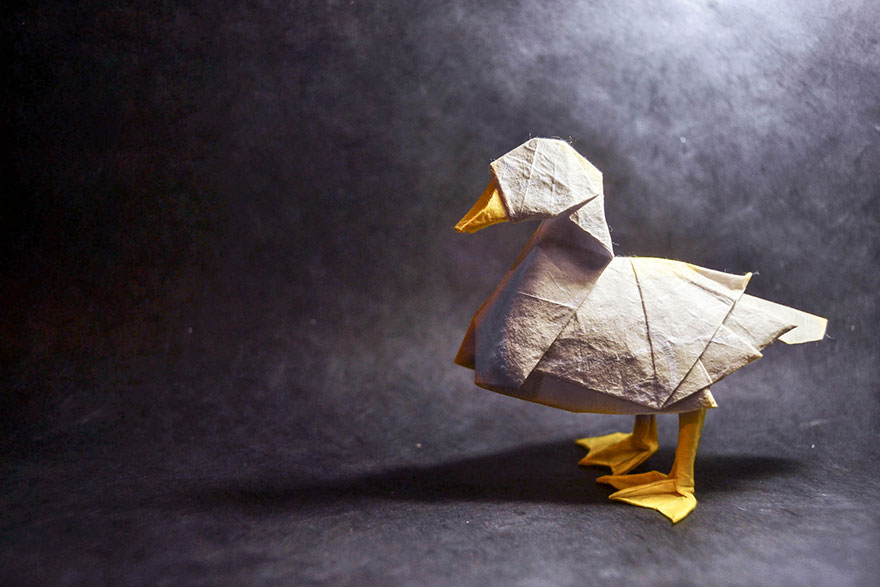فنان أسبانى يبدع فى تصميم حيوانات باستخدم الورق 84150-origami-gonzalo-garcia-calvo-40-57fb55e981120__880