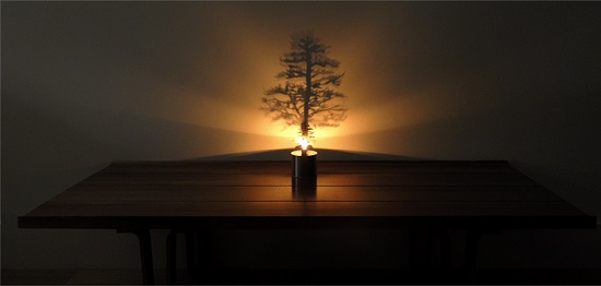 مصباح رقيق ومبتكر يرسم شجرة على الحائط 