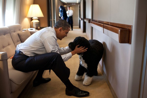 أوباما مع كلبه داخل طائرته