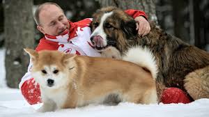 بوتين مع كلابه