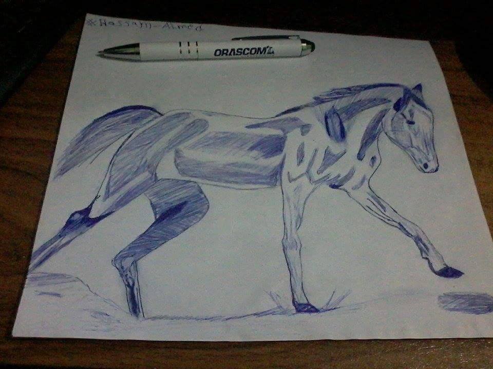 حصان بالقلم الجاف