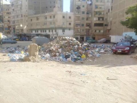 القمامة والعشوائيات فى الجزيرة الخضراء بالإسكندرية (1)