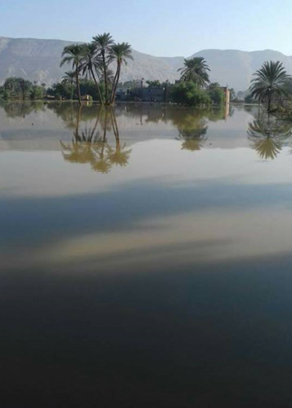 آثار السيول على الأراضى الزراعية فى سوهاج (1)