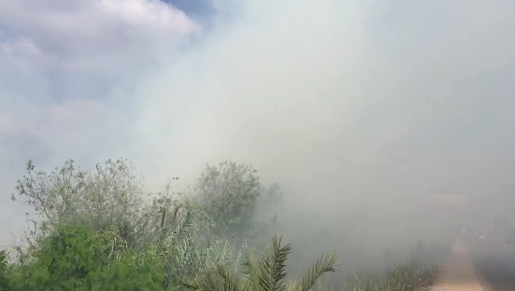  أدخنة حرق قش الأرز تغطى سماء طريق المحلة – طنطا 