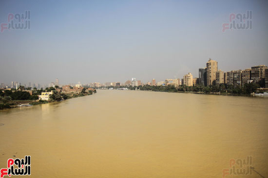 نهر النيل يكتسى باللون الأصفر لون مياه السيول (13)