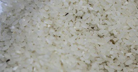انخفاض-أسعار-الأرز-عالميًا4