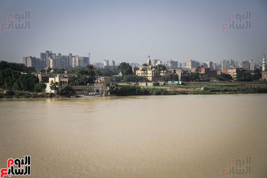 نهر النيل يكتسى باللون الأصفر لون مياه السيول (4)