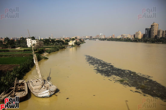 نهر النيل يكتسى باللون الأصفر لون مياه السيول (15)