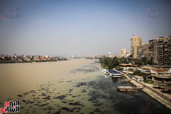 نهر النيل يكتسى باللون الأصفر لون مياه السيول (5)