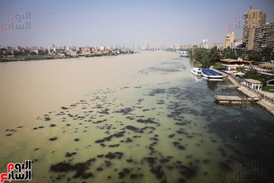 نهر النيل يكتسى باللون الأصفر لون مياه السيول (2)