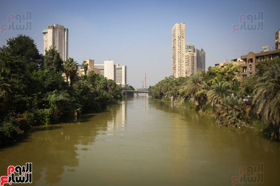 نهر النيل يكتسى باللون الأصفر لون مياه السيول (1)