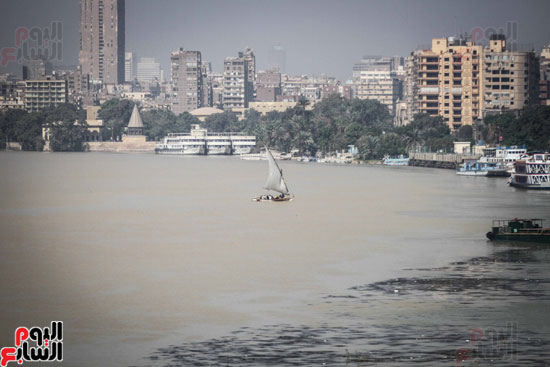 نهر النيل يكتسى باللون الأصفر لون مياه السيول (8)