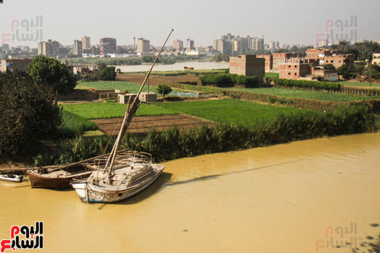 نهر النيل يكتسى باللون الأصفر لون مياه السيول (14)