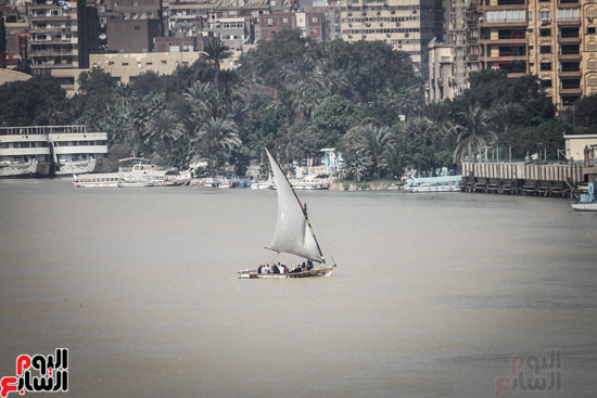 نهر النيل يكتسى باللون الأصفر لون مياه السيول (9)