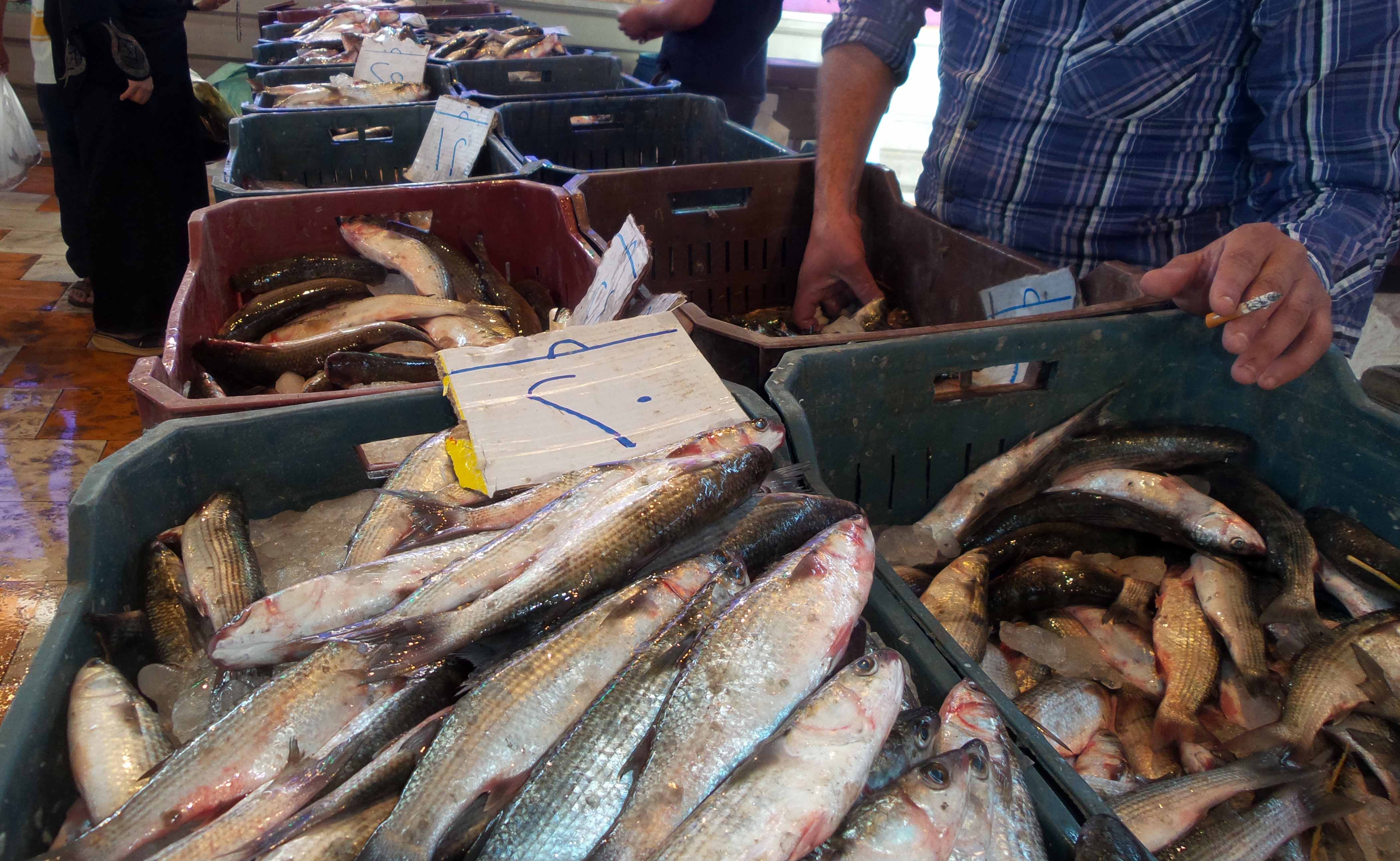 البائع يقوم بتنقية السمك للزبائن