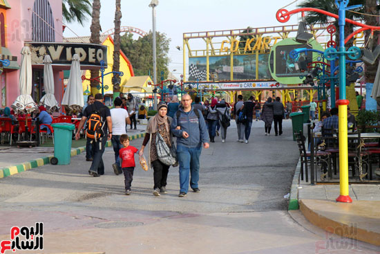 دريم بارك (30)