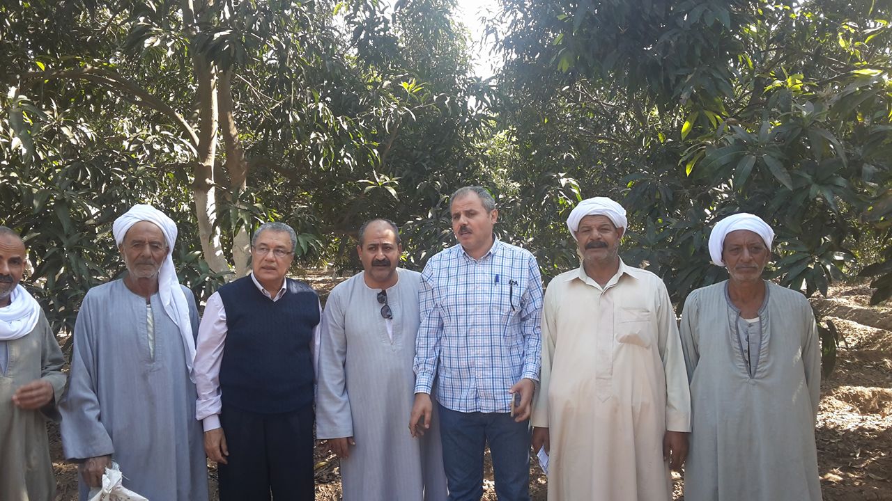 أساتذة كلية الزراعة مع فلاحى أبو صوير أثناء المكافحة