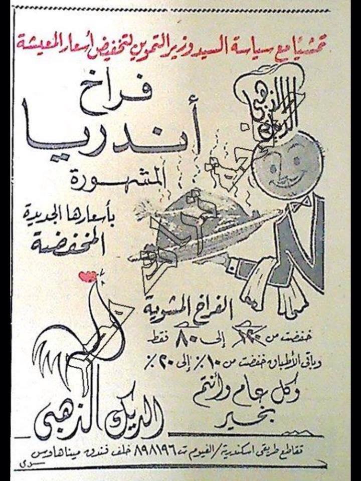فراخ أندريا بعد الخصم ب 80 قرش فراخ أندريا بعد الخصم ب 80 قرش