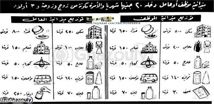 ميزانية موظف دخلة 20 جنية في الشهر ميزانية موظف دخلة 20 جنية في الشهر