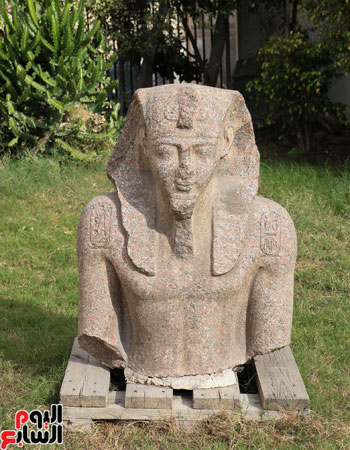 •	احدى التماثيل الفرعونية بحديثة المتحف القومى