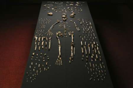 بقايا عظام مجهولة بجنوب افريقيا