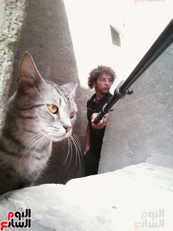 القط تومى وصديقه عبد الرحمن (30)
