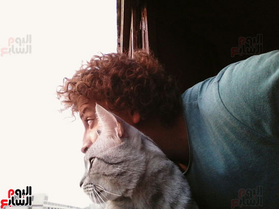 القط تومى وصديقه عبد الرحمن (31)