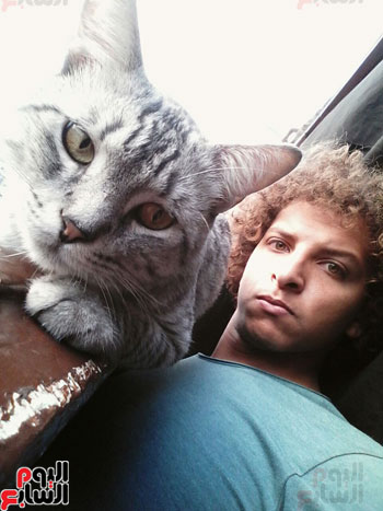القط تومى وصديقه عبد الرحمن (1)