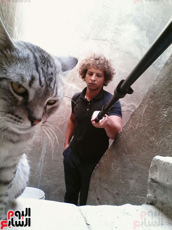 القط تومى وصديقه عبد الرحمن (7)