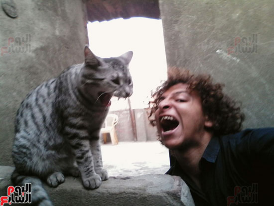 القط تومى وصديقه عبد الرحمن (23)