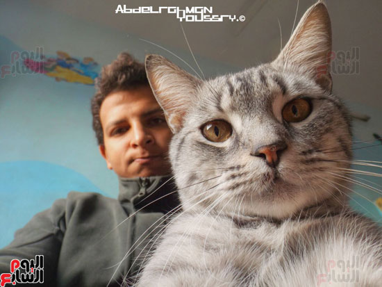 القط تومى وصديقه عبد الرحمن (26)