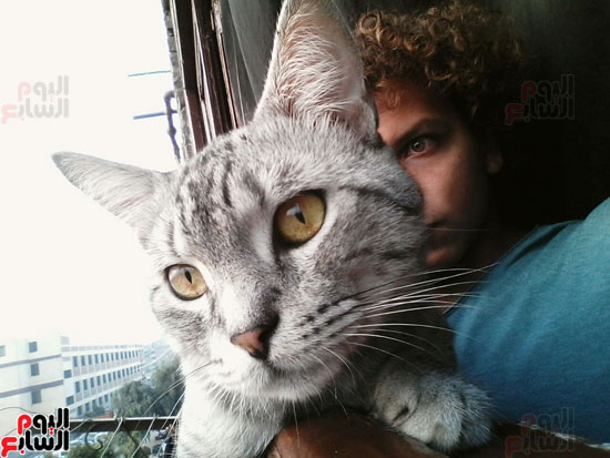 القط تومى وصديقه عبد الرحمن (6)