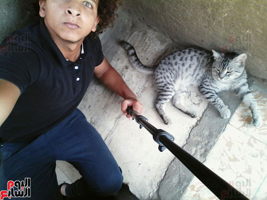 القط تومى وصديقه عبد الرحمن (33)