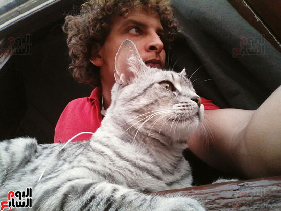 القط تومى وصديقه عبد الرحمن (8)